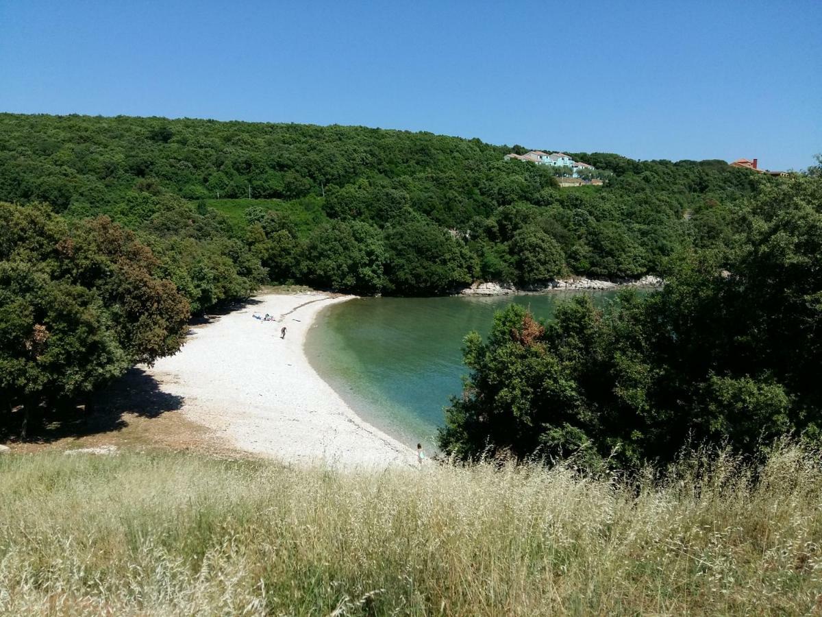 Mirta 1 Διαμέρισμα Pavicini Εξωτερικό φωτογραφία